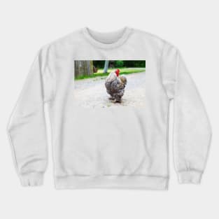 Cochin chicken Crewneck Sweatshirt